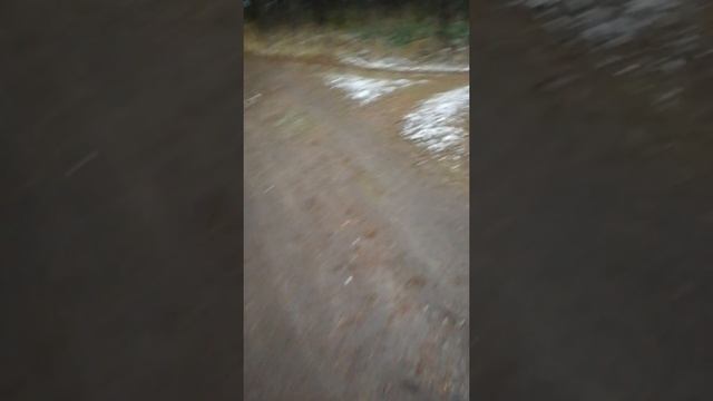 Куда увозят ковид-больных в Кирове смотреть онлайн