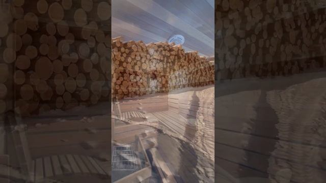 Приехали на производство в Иркутск #вагонка #пиломатериалы