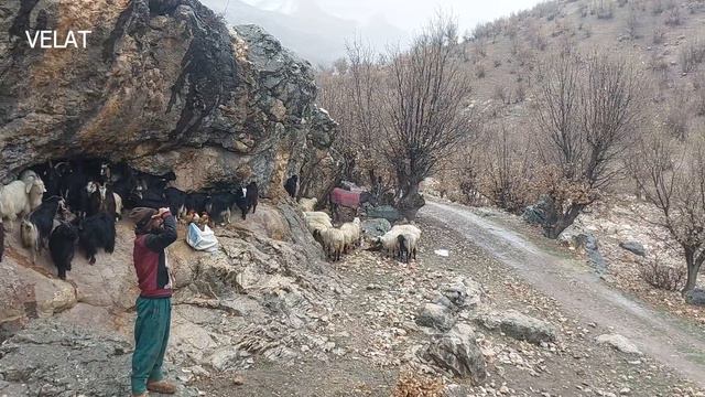 Nomadic life and construction of houses and heavy rain смотреть онлайн
