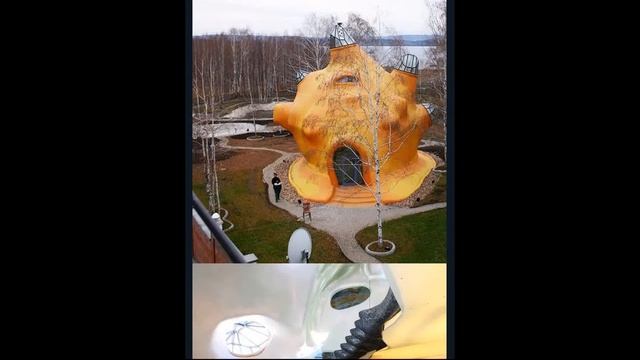 Дом - ракушка смотреть онлайн