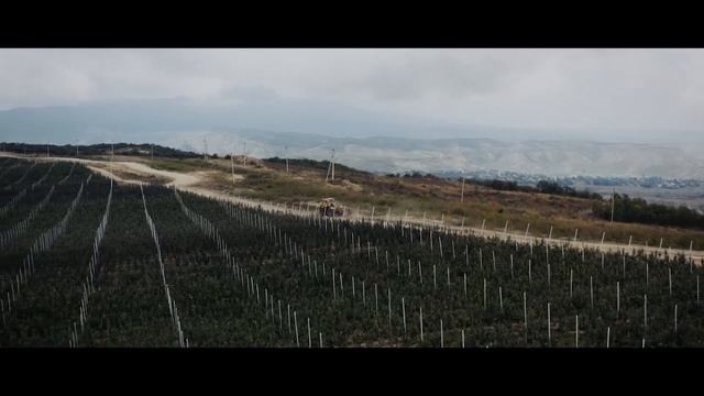 ЛЕГЕНДЫ ДАГЕСТАНА смотреть онлайн