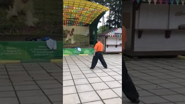 Цигун клуб Северный Шаолинь 2020 смотреть онлайн