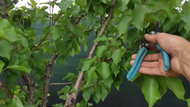 Стройка Успеха