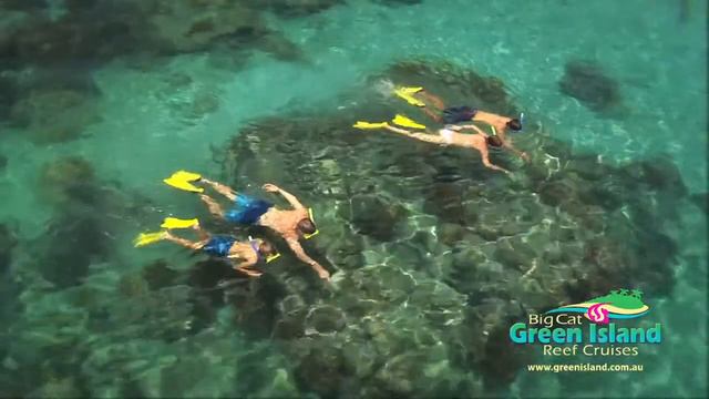 Snorkelling | Green Island | Great Barrier Reef tours смотреть онлайн