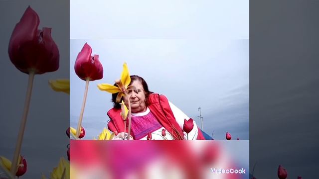 Парад тюльпанов.mp4 смотреть онлайн