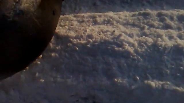 Покатушки Subaru смотреть онлайн