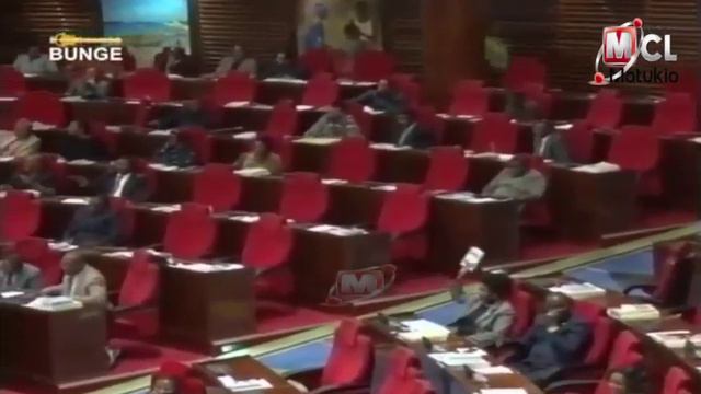 Bajeti ya Afya yapita, Ummy aipa neno kambi ya upinzani смотреть онлайн