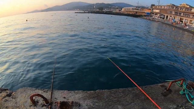 Морская рыбалка в Сочи Адлер