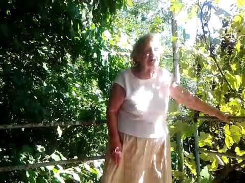 Я забыла о своих лекарствах когда исцелялась в райской здравнице в Абхазии mp4 смотреть онлайн