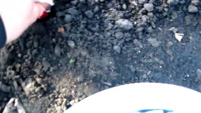 ОСЕННЯЯ ПОСАДКА ОЗИМОГО ЧЕСНОКА и ООООочень много болтаем смотреть онлайн