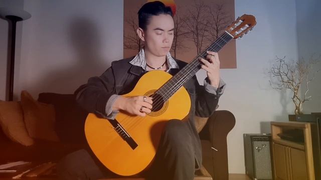 "¡ADELITA!"----F. Tárrega. Performed by Rik James Zupko смотреть онлайн