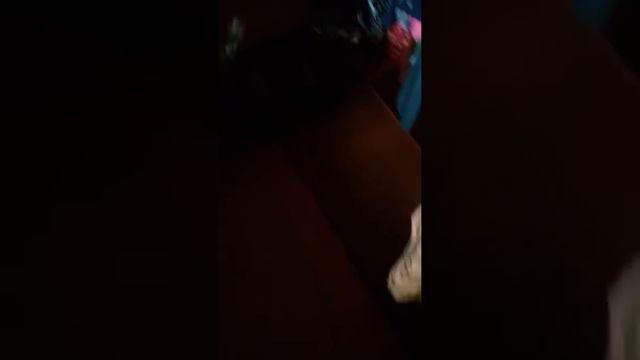 Охота на овечку смотреть онлайн