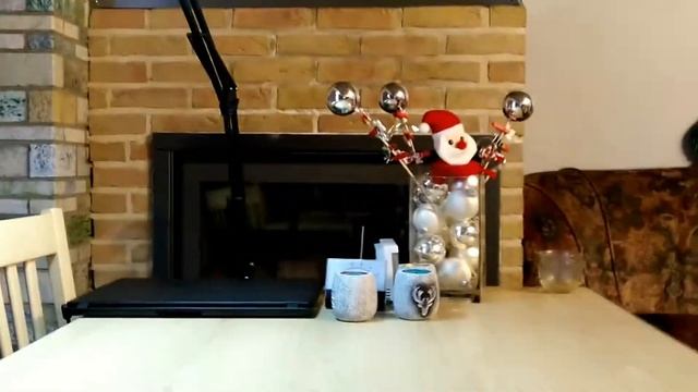 Александрийский попугай Муси/Alexandrian Parrot Musi