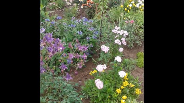 Дача на севере#трудимся#отдыхаем смотреть онлайн