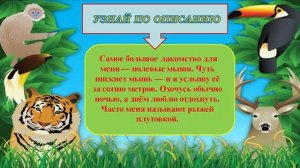 Всемирный день дикой природы