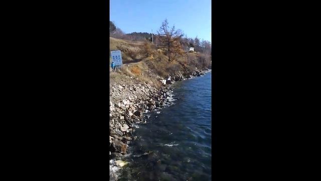 Моя жизнь с Академией "Успех Вместе"! Альмира Шарипова. смотреть онлайн