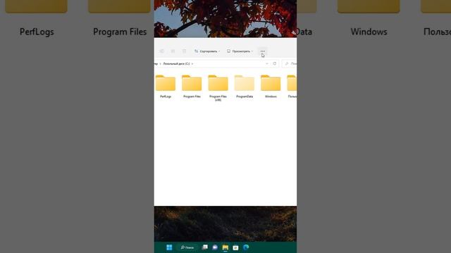 Как отобразить системные скрытые папки и файлы на Windows 11 смотреть онлайн