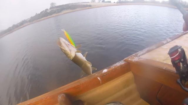 Лучший большой воблер на щуку 2017.Ловля щуки зимой на Megabass Kanata . смотреть онлайн