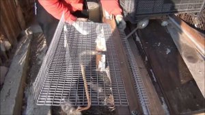 Как сделать инкубационные универсальные лотки,ящики в инкубатор?