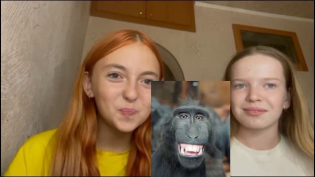 оцениваем песни друг друга kpop- русские песни смотреть онлайн