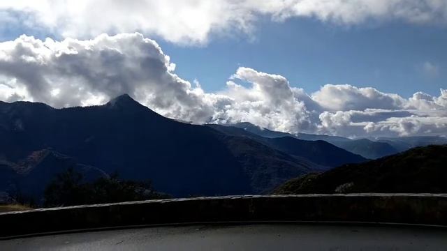 США  Национальный парк  еду смотреть гигантские деревья