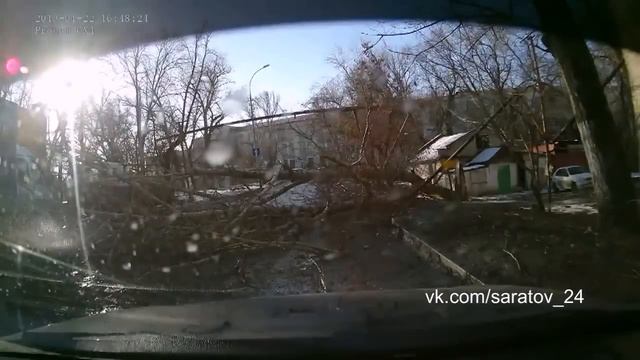 Упало дерево в Саратове смотреть онлайн