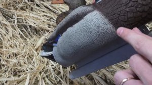 Обзор премиальных чучел кряквы Softplast ALFA