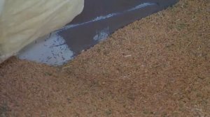 Как выращивают рис на Тайване - процесс посадки и сбора риса