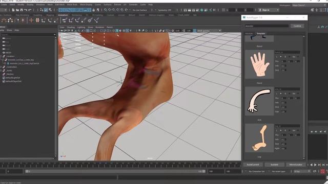 Maya - Modular creature auto rig смотреть онлайн