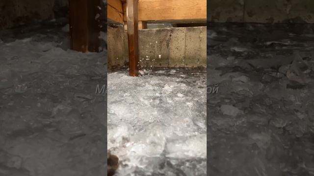 Купель СВ Бл Матронушки в пос Мордвес Тульской области смотреть онлайн