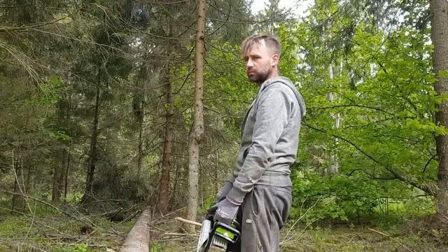 Fieldmann FZP 5816-B - pierwsza duża robota - świerkowy las nie jest dla niej wyzwaniem. смотреть онлайн