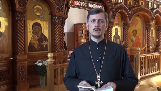 НЕ ХЛЕБОМ ЕДИНЫМ 36 смотреть онлайн