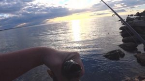 Азартная ловля Азовского бычка в Крыму Морская рыбалка