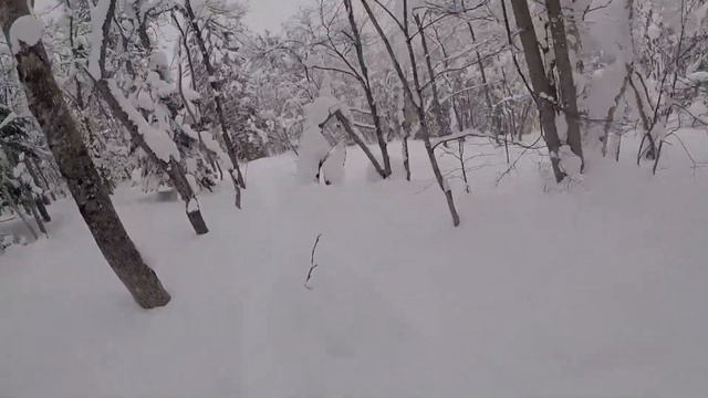 [Freeride] Japow! Freeride tour in Hokkaido, Japan | Day 2 | Kamui | Feb 2019 смотреть онлайн