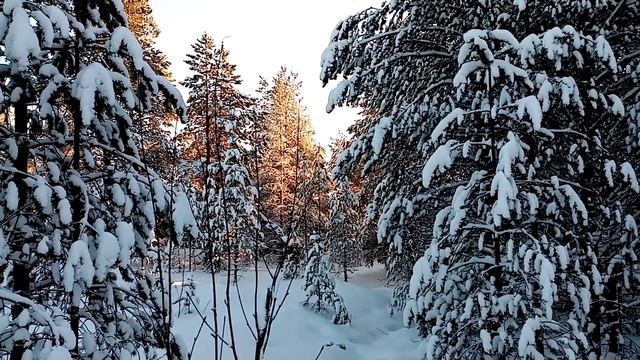 Зимние пейзажи Северной Карелии.Winter landscapes of North Karelia. смотреть онлайн