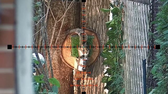 What's the Leshiy 2 REPR ?? (First Squirrel Hunt) смотреть онлайн