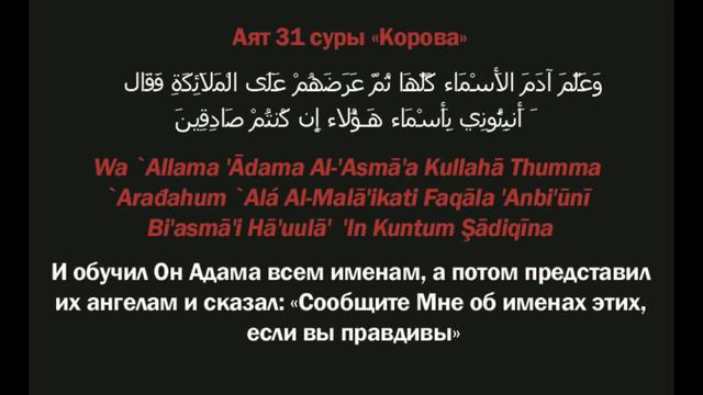 Аяты 31-32 суры «Корова»: «И обучил Он Адама всем именам...» (ТАФСИР КОРАНА) смотреть онлайн