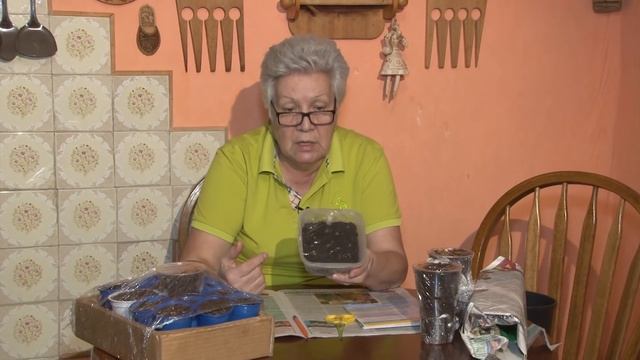 Голова садовая - Ошибки при посеве земляники смотреть онлайн