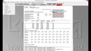 Кровля Профи. Урок 8: Пакетная печать
