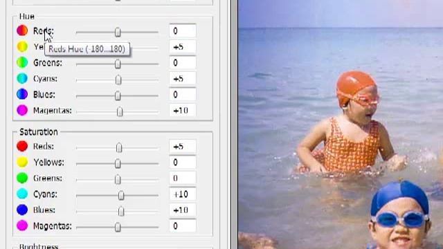 RealGrain: Imagenomic Software