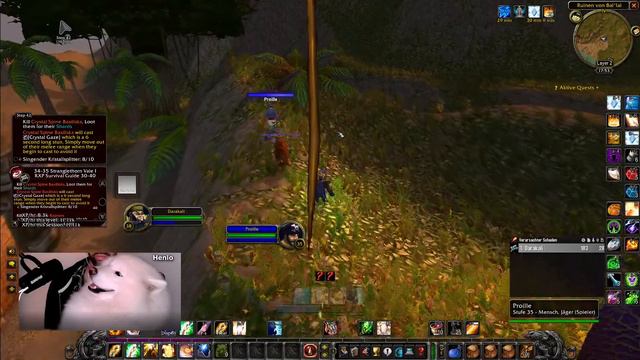 WoW Entwickler Tagebuch Infos! Classic + ? / World Of Warcraft Classic Plus