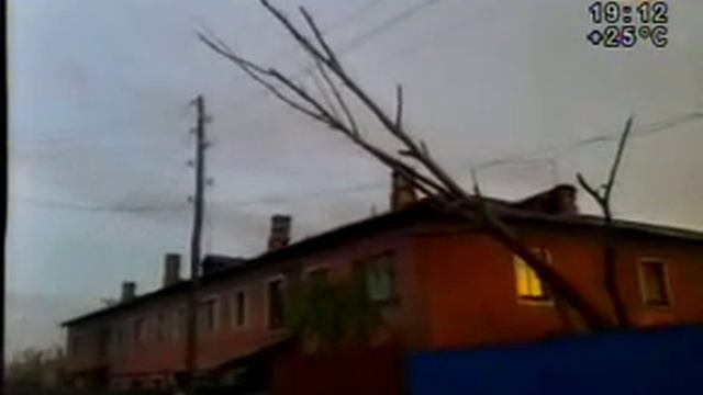 Упавшее дерево смотреть онлайн