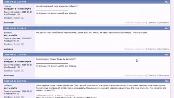 Мой опыт использования сайта Profi.ru