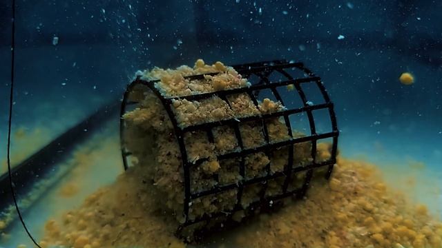 Работа прикормки Expert Original Bream Biscuit (Лещ Бисквит) смотреть онлайн