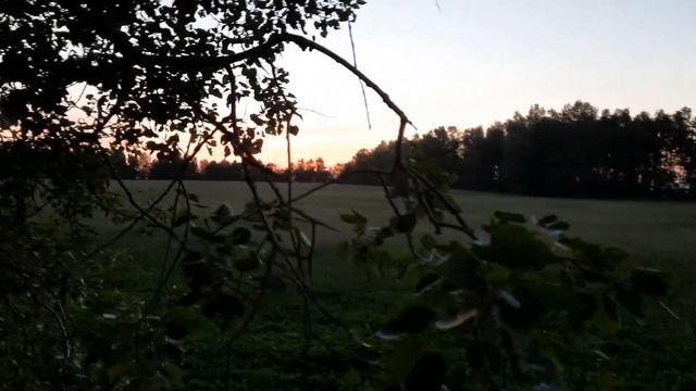 Лабаз Самолаз Тристенд своими руками