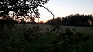 Лабаз Самолаз Тристенд своими руками