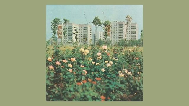comfort russian songs // vibe playlist смотреть онлайн