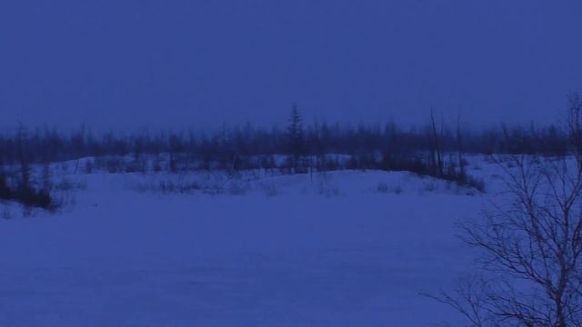 Тундра [Ola Strandh - Tundra]