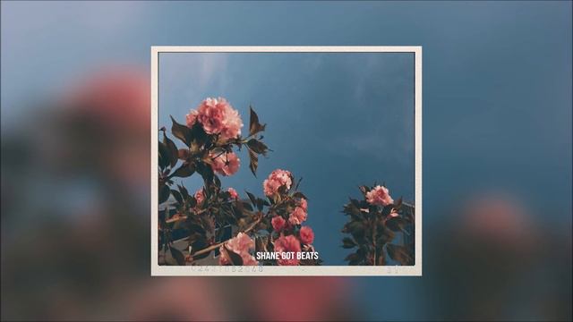 Asher Roth Type Beat ' Garden Shed ' смотреть онлайн