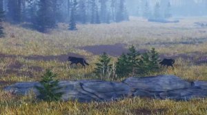 Open Country [PC] Debut Trailer